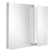 Qurios Mirror with Shelf 24"